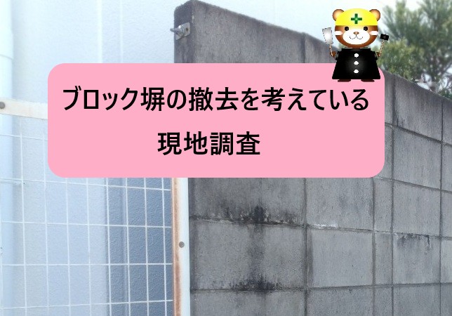 大阪市住之江区｜通学路沿いブロック塀の現地調査と補助金を使った安全対策